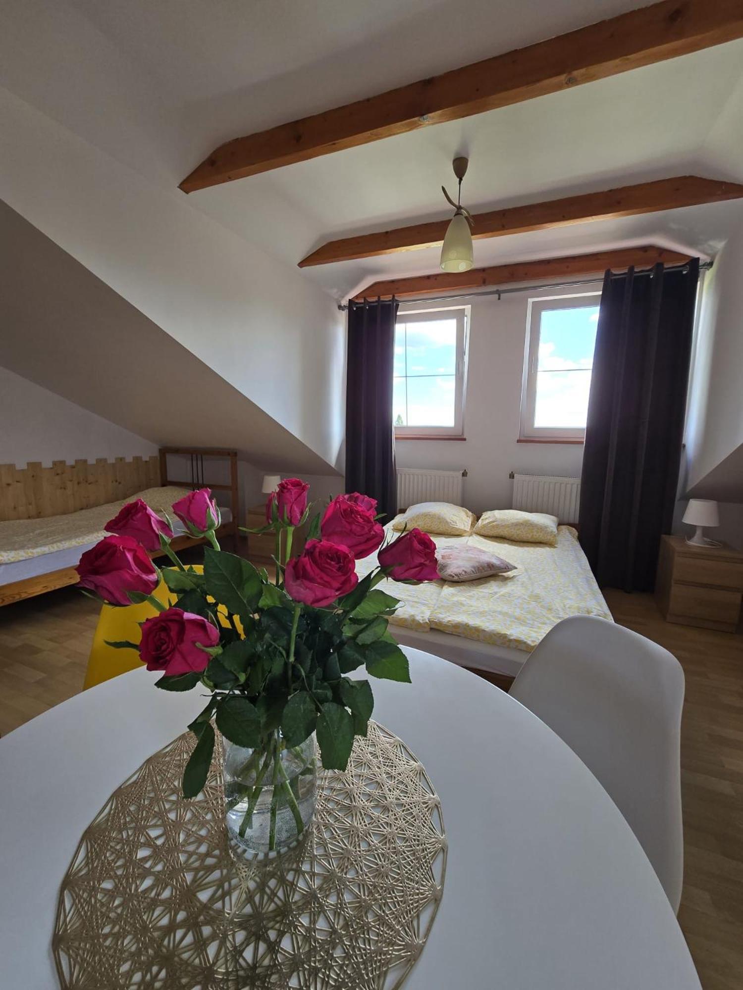 Villa Mango Wladyslawowo Chlapowo Buitenkant foto